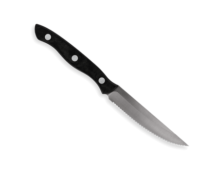 4 Piece Steak Knife Set